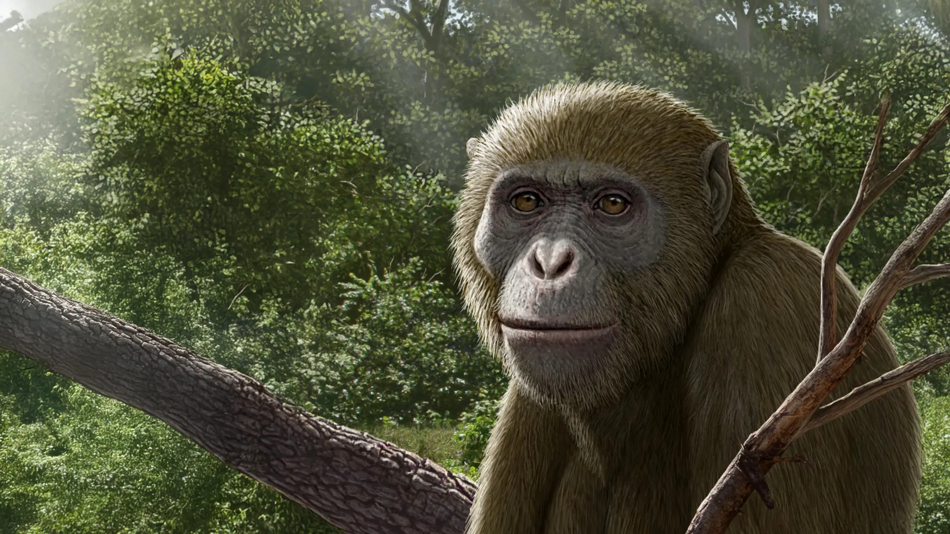 Reconstrucción artística de Masripithecus moghraensis, un simio fósil del Mioceno hallado en Egipto.
