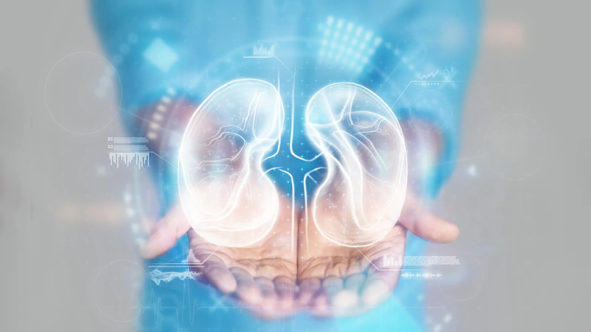 Manos médicas sostienen un modelo anatómico de riñón en una imagen asociada a salud renal