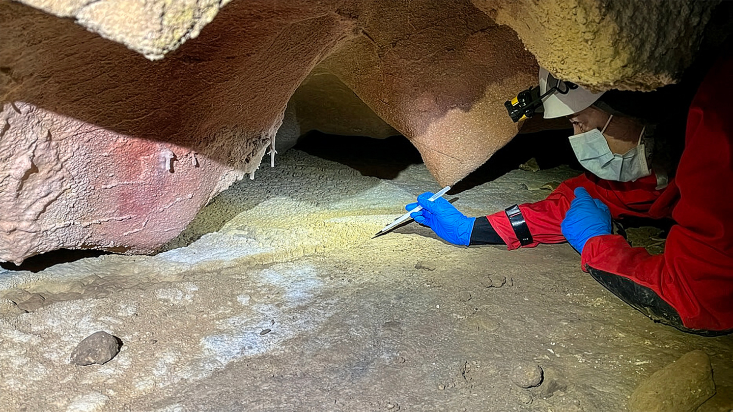 Investigadores toman muestras en una pared con arte rupestre dentro de una cueva