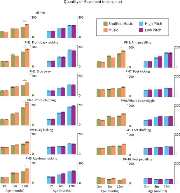 Figura del estudio que compara la respuesta cerebral y los patrones de movimiento de bebés de 3, 6 y 12 meses mientras escuchan música
