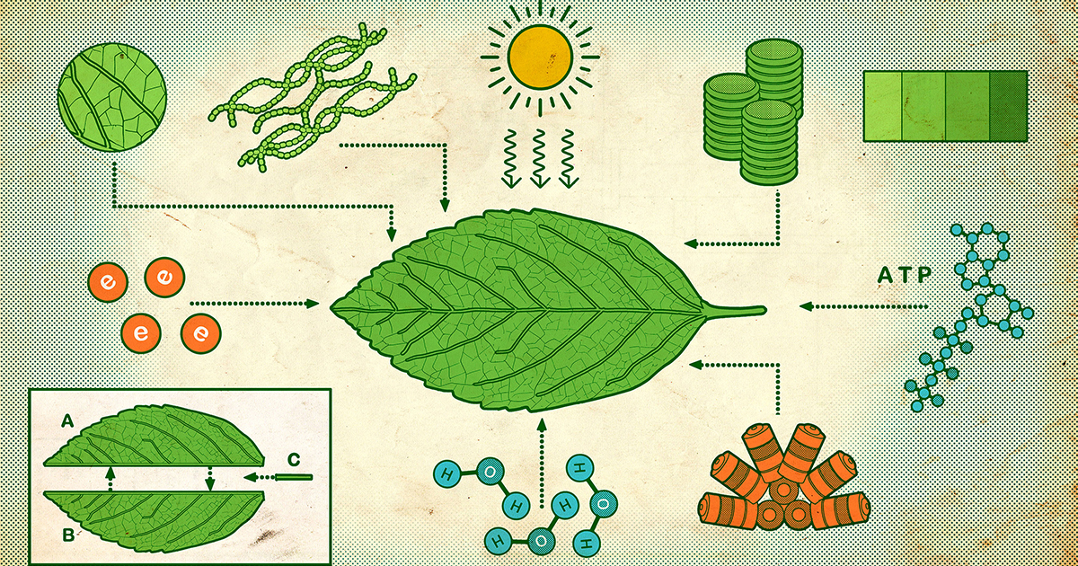 Ilustración de una cianobacteria antigua aprovechando la luz solar para la fotosíntesis
