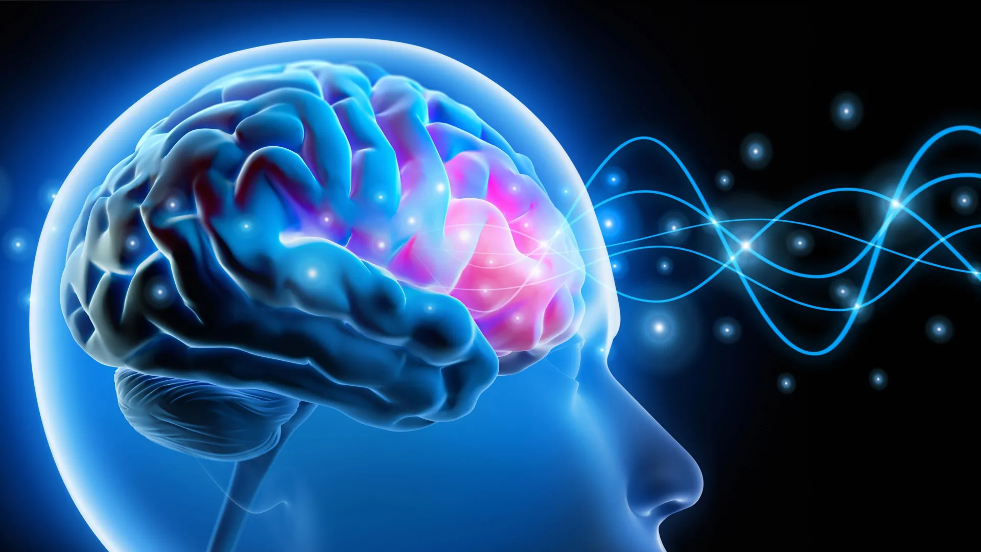 Ilustración de actividad cerebral usada para una nota sobre un circuito de la amígdala ligado a la ansiedad