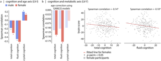 Figura del estudio que resume dos patrones distintos de asociación entre medidas del cerebro y marcadores corporales de edad y metabolismo