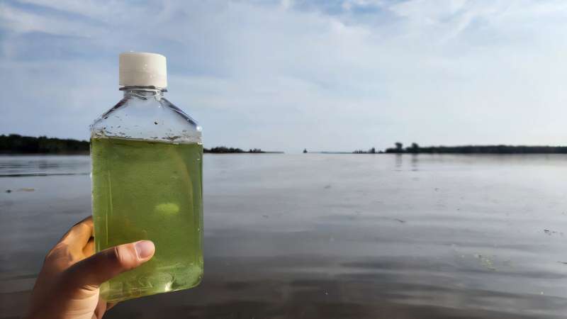 Botella con agua verdosa tomada en un estuario, con el paisaje costero al fondo.