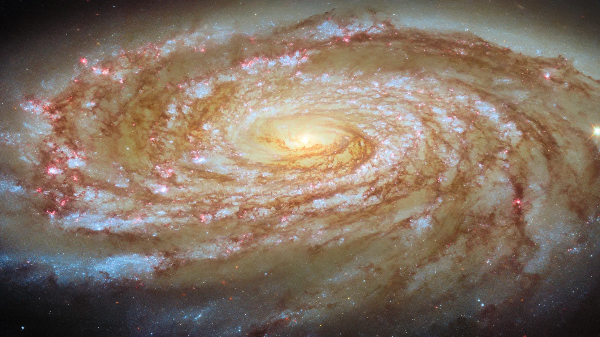 Imagen de Hubble de la galaxia espiral M88 vista de forma inclinada con brazos brillantes y nubes oscuras
