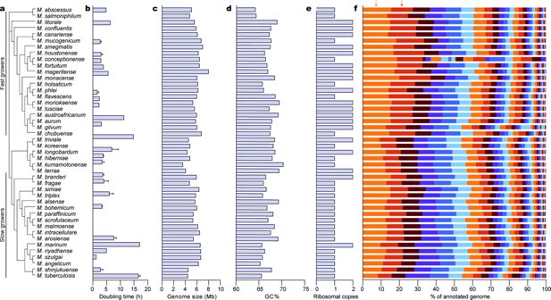 Figura del estudio que compara perfiles de resistencia antibiótica entre especies de micobacterias