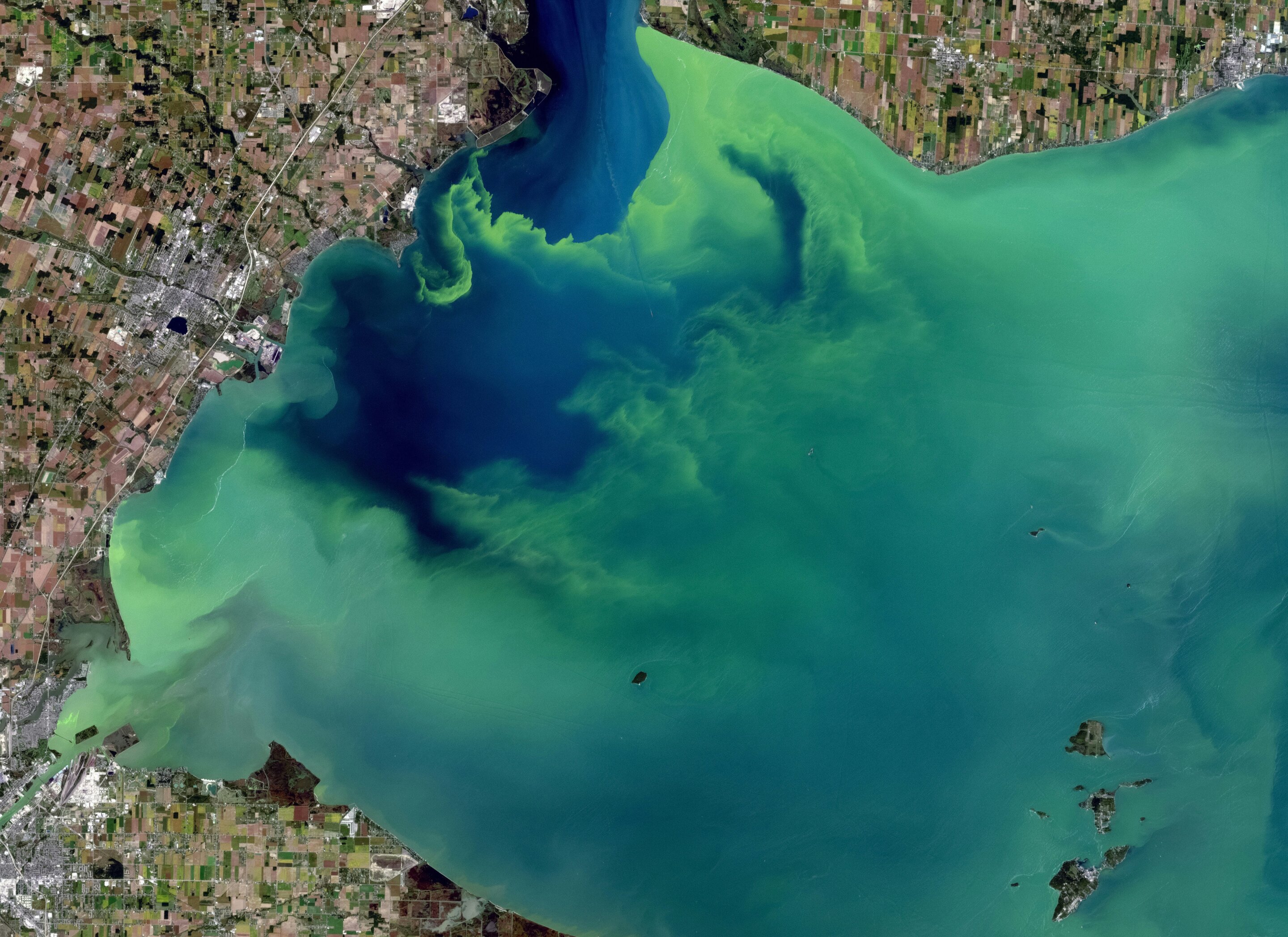 Lago con agua verdosa por proliferación de algas, relevante para una investigación sobre fósforo atrapado en sedimentos.