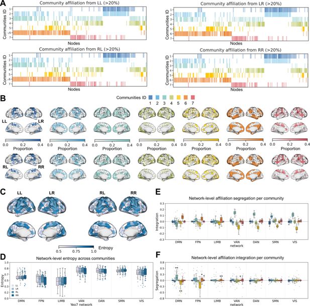 Esquema del estudio que combinó resonancia magnética funcional de 7 teslas y seguimiento del diámetro pupilar para analizar cómo cambia la conectividad cerebral durante la vigilia