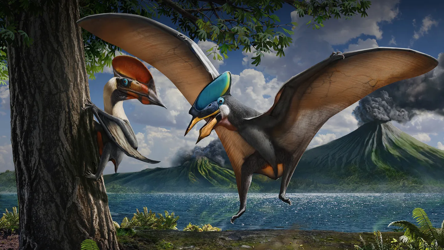 Ilustración de dos pterosaurios con crestas de colores brillantes en un paisaje del Cretácico