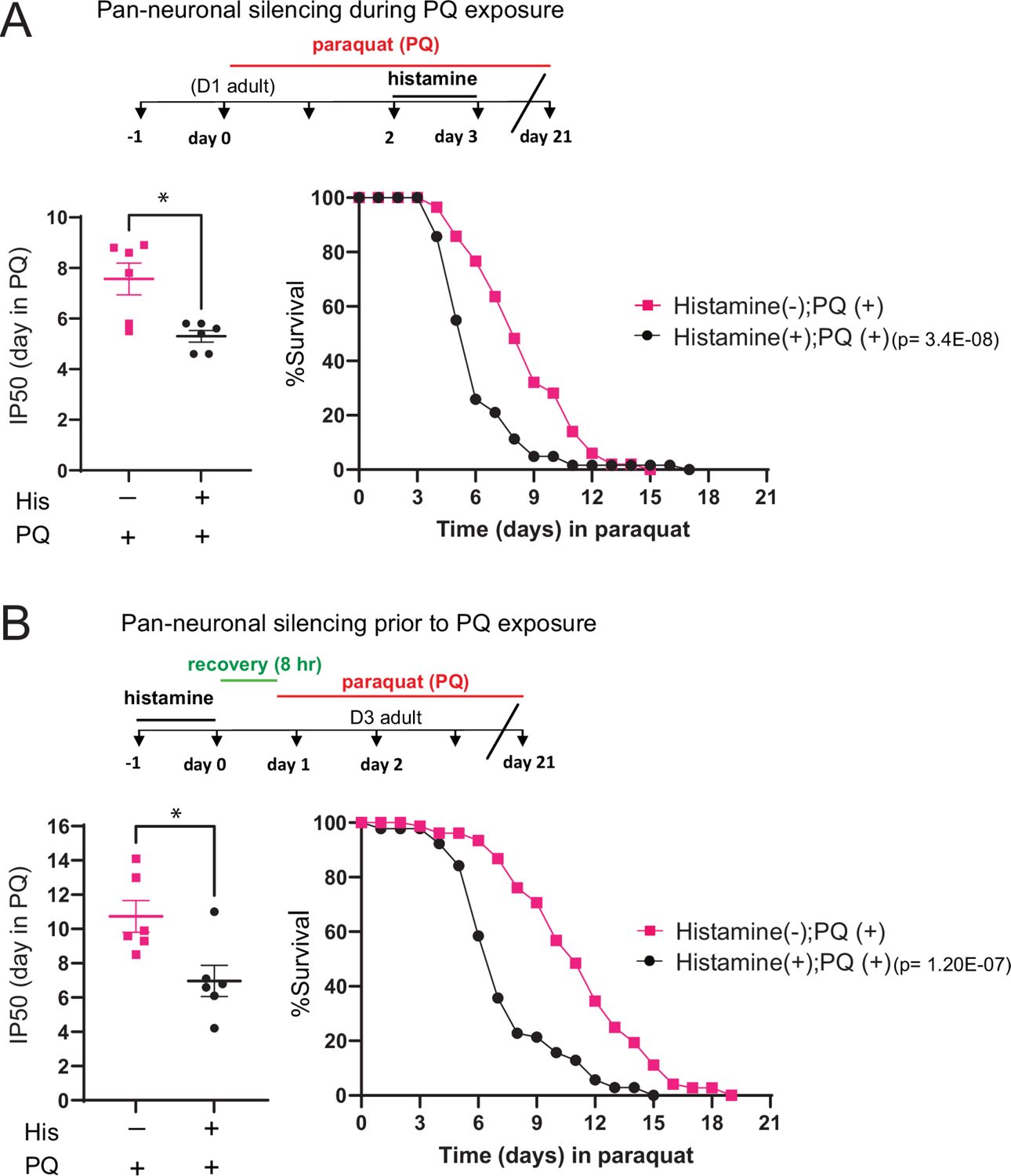 Figura del estudio sobre estrés oxidativo en C. elegans y sus rutas de señalización colinérgica