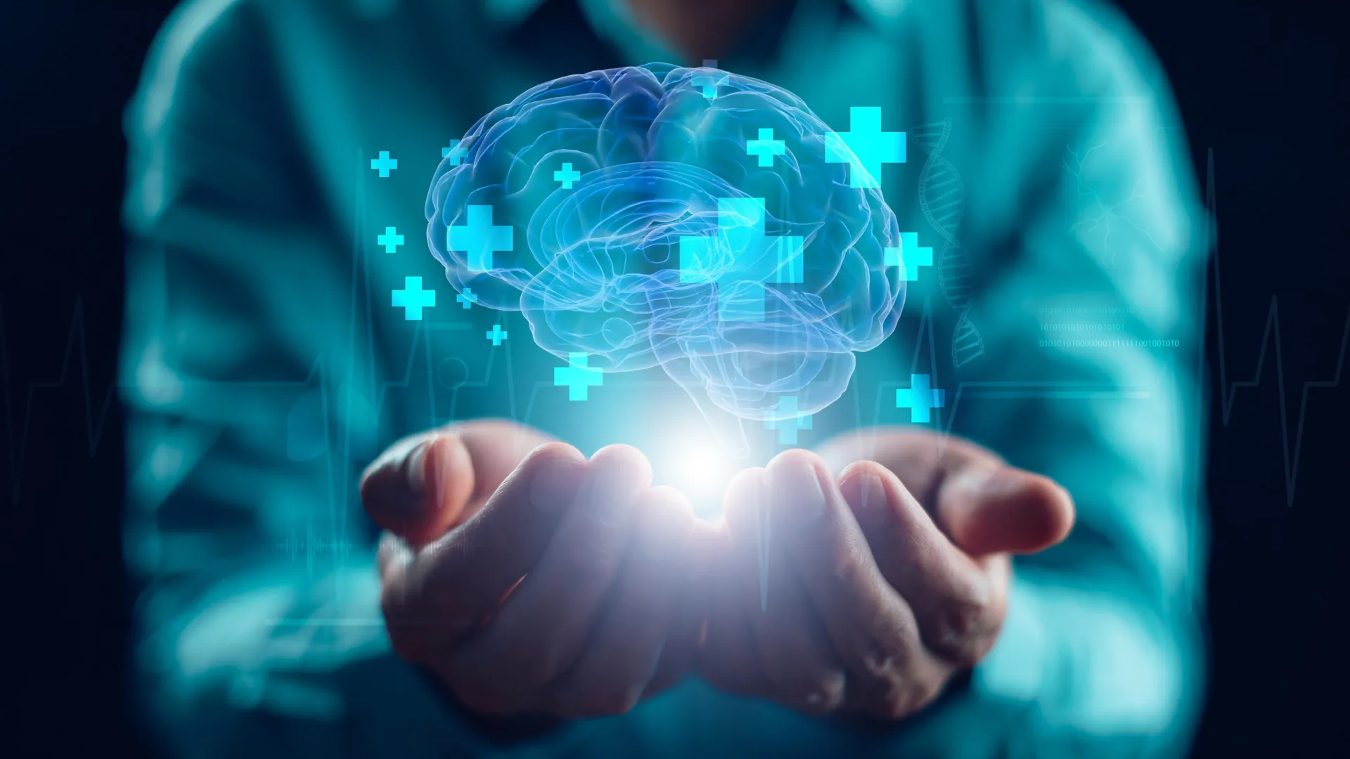 Ilustración médica de referencia sobre cerebro y salud celular, usada como imagen fuente en la cobertura original del estudio sobre queuosina.